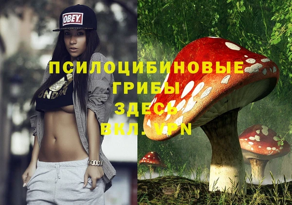 бошки Абаза