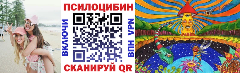 где найти   мега зеркало  Галлюциногенные грибы Cubensis  Нижняя Тура 
