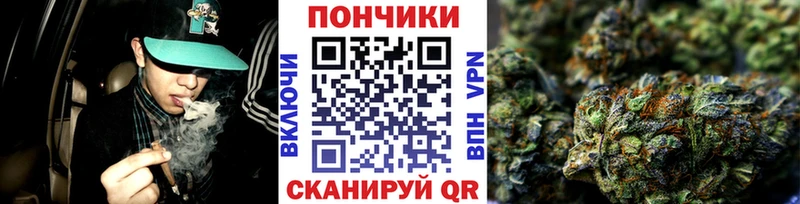наркотики  mega   Каннабис индика  Нижняя Тура 
